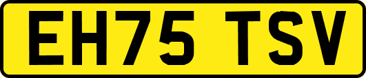 EH75TSV
