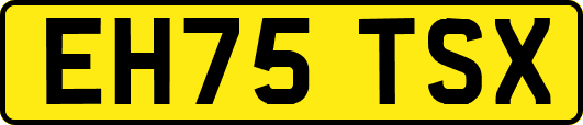 EH75TSX