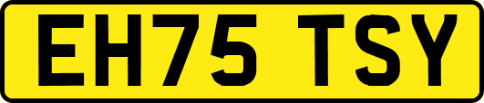 EH75TSY