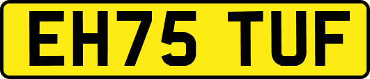 EH75TUF