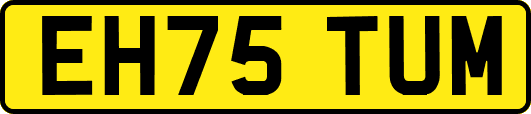 EH75TUM