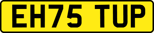 EH75TUP