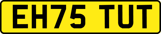 EH75TUT