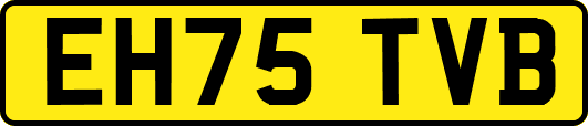 EH75TVB