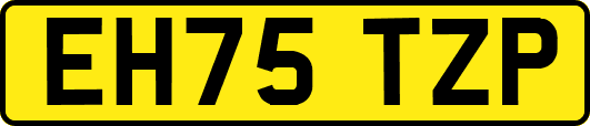 EH75TZP
