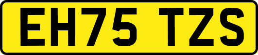 EH75TZS