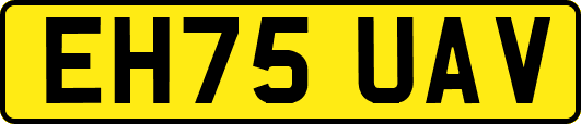 EH75UAV