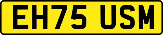 EH75USM