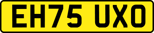EH75UXO