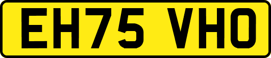 EH75VHO