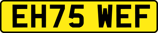 EH75WEF