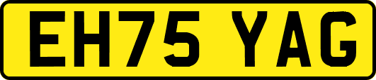 EH75YAG