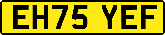 EH75YEF