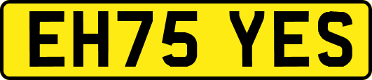EH75YES