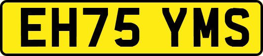 EH75YMS