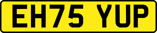 EH75YUP