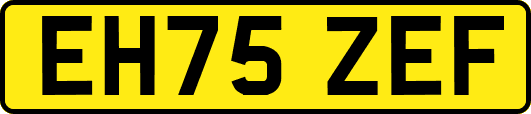 EH75ZEF
