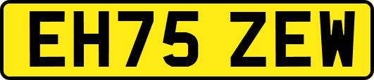 EH75ZEW