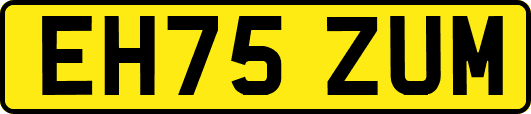 EH75ZUM