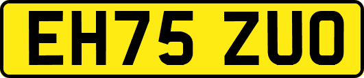 EH75ZUO
