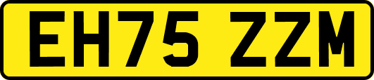 EH75ZZM