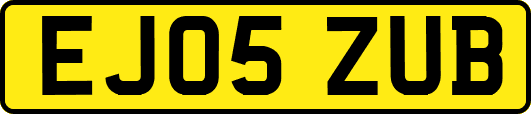 EJ05ZUB