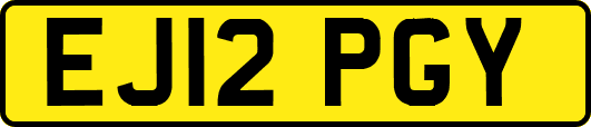 EJ12PGY