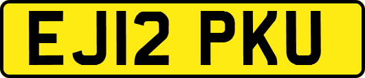 EJ12PKU