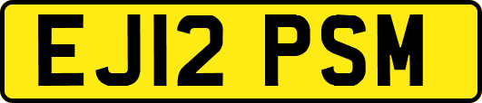 EJ12PSM