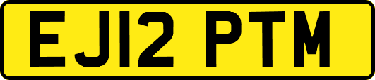 EJ12PTM