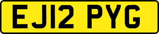 EJ12PYG