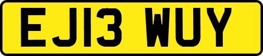 EJ13WUY