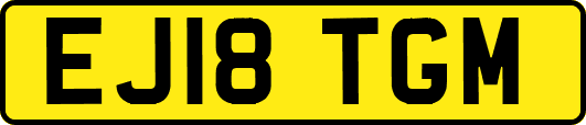 EJ18TGM