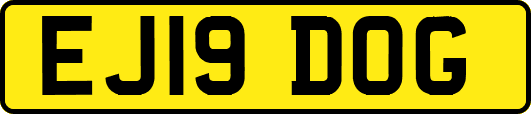 EJ19DOG