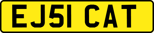 EJ51CAT