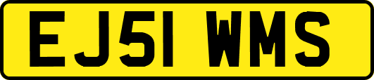 EJ51WMS