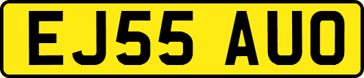 EJ55AUO