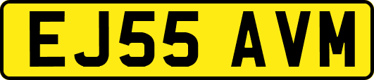 EJ55AVM