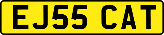 EJ55CAT