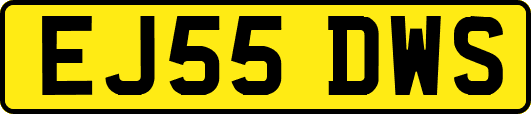 EJ55DWS