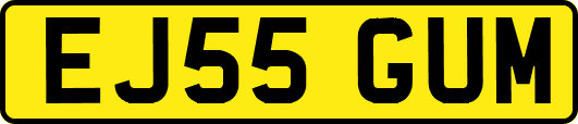 EJ55GUM