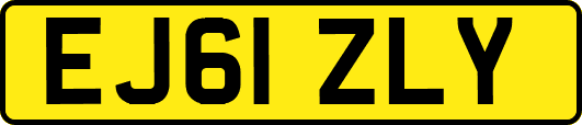 EJ61ZLY