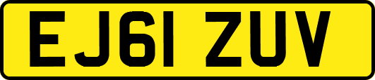 EJ61ZUV