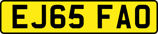 EJ65FAO