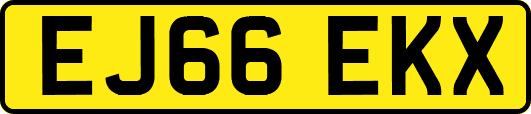 EJ66EKX