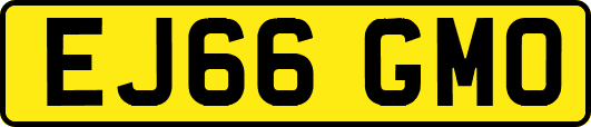 EJ66GMO