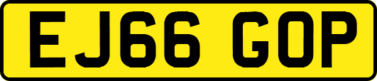 EJ66GOP