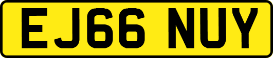 EJ66NUY