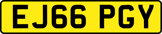 EJ66PGY