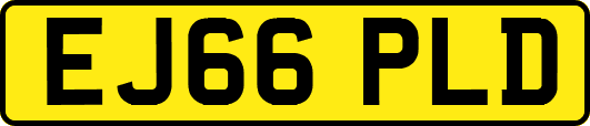 EJ66PLD